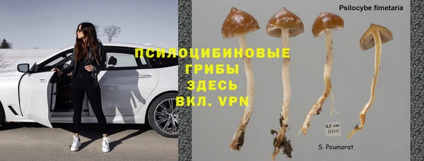 твердый Абинск