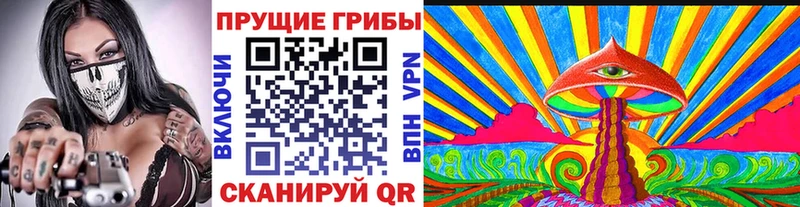 Галлюциногенные грибы Cubensis  ОМГ ОМГ ССЫЛКА  Никольское 