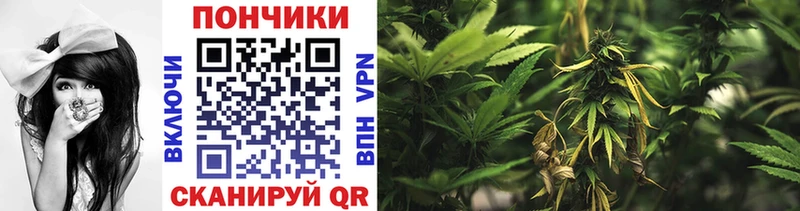 Бошки Шишки VHQ  Никольское 